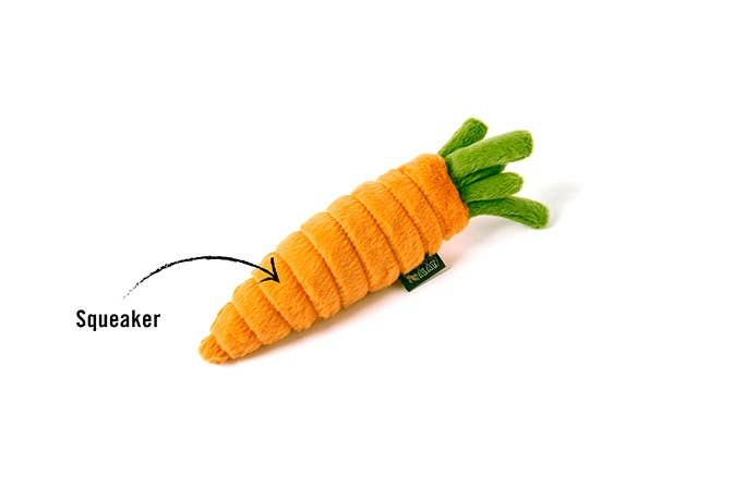 Garden Fresh - Carrot