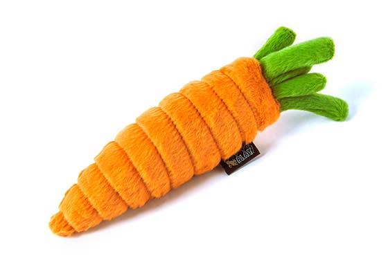 Garden Fresh - Carrot