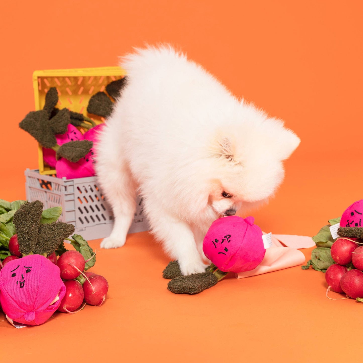 Radish Nose Work Toy