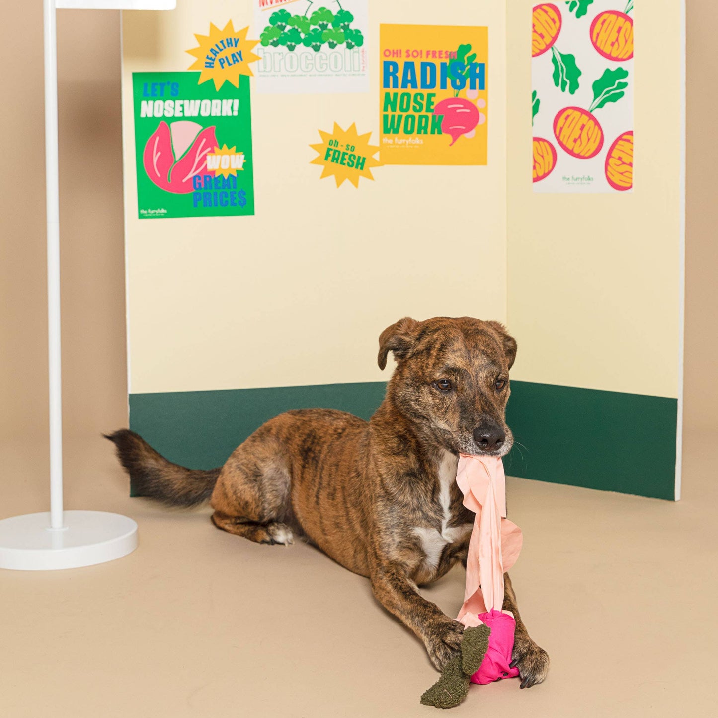 Radish Nose Work Toy