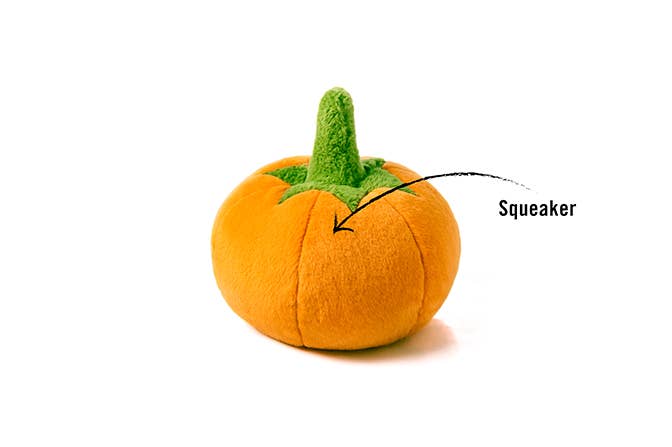MINI Garden Fresh - Pumpkin