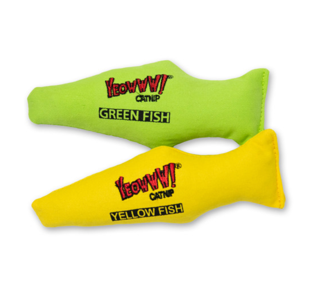 Catnip Yellow & Green Fish