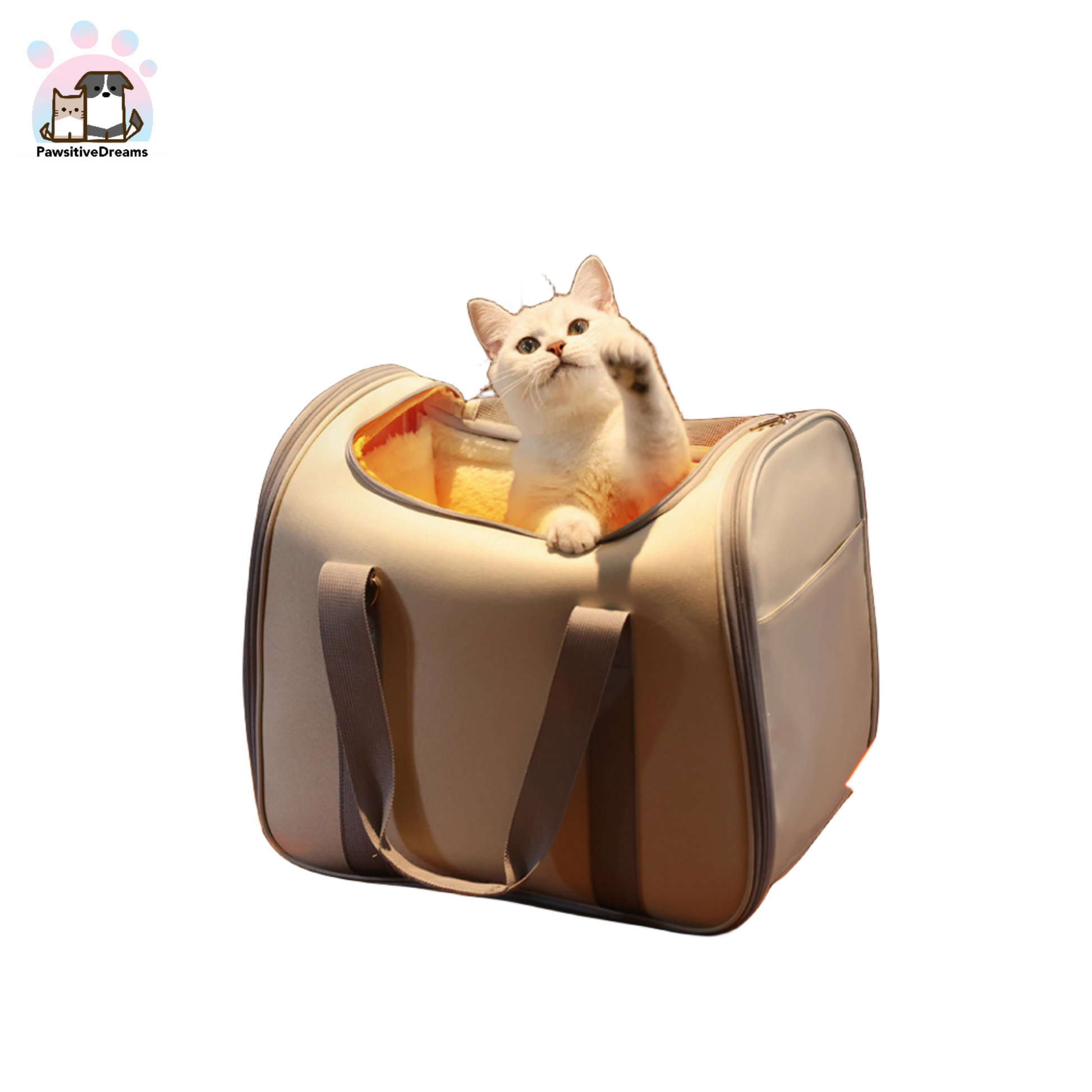 Seasonal General Soft-Size Cat & Small Dog Carrier For Pet Under 20lbs - Pawsitive Dreams