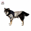 Luka Windproof and Waterproof Rain Jacket for Medium to Large Dogs - Pawsitive Dreams