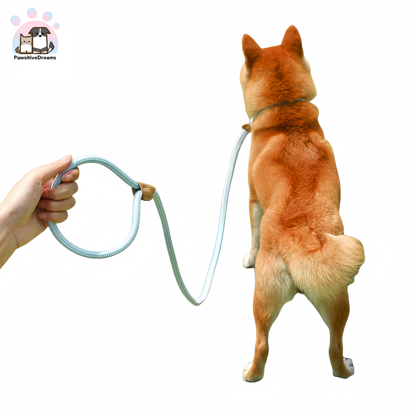 P-Leash Nylon Dog Leash for Medium to Large Dogs - Pawsitive Dreams