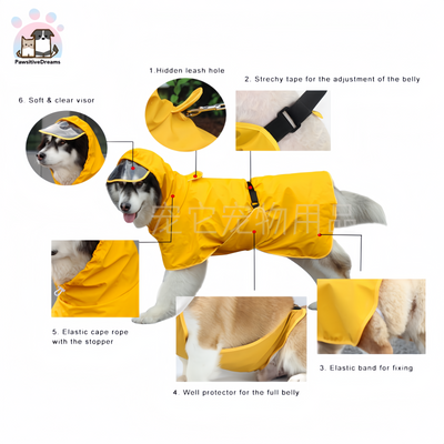 Chongta Raincoat For Teddy, Corgi, Golden Retriever Large Dog Pet Clothes - Pawsitive Dreams