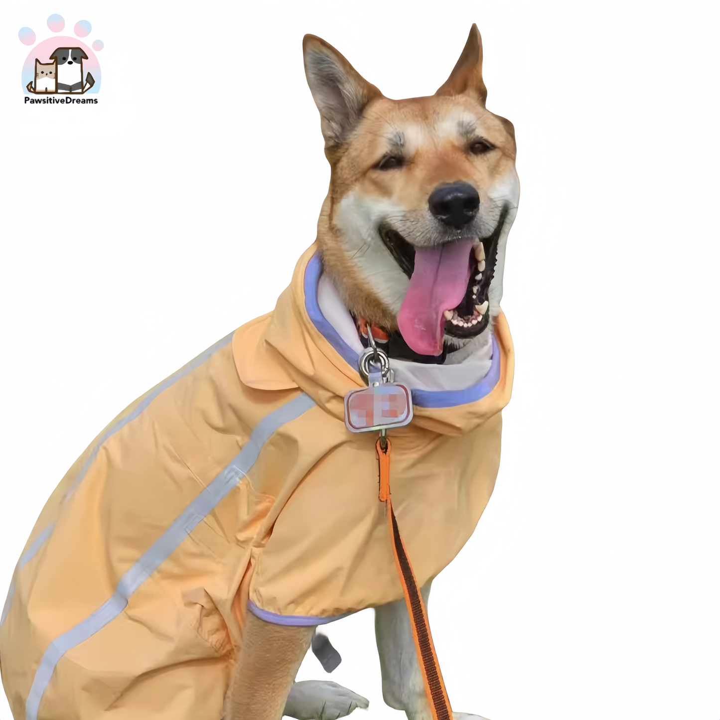 Luka Pure Color Windproof and Waterproof Raincoat for Medium to Large Dogs - Pawsitive Dreams