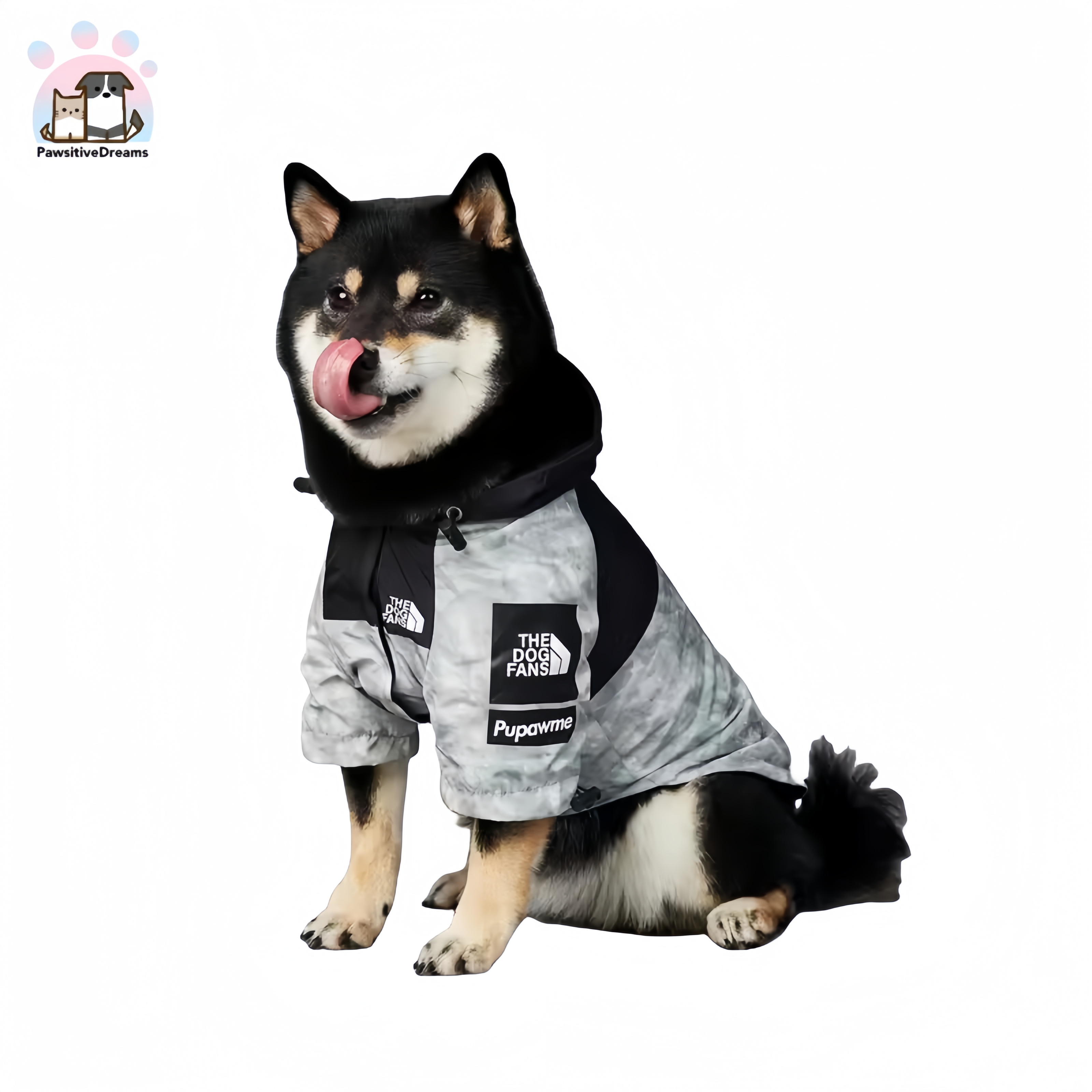Luka Windproof and Waterproof Rain Jacket for Medium to Large Dogs - Pawsitive Dreams