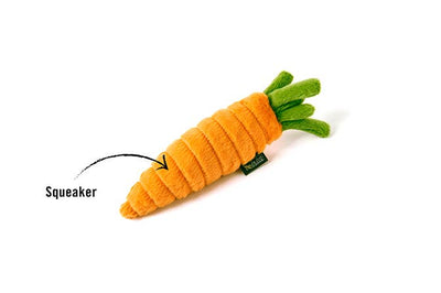 Garden Fresh - Carrot