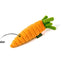 MINI Garden Fresh - Carrot