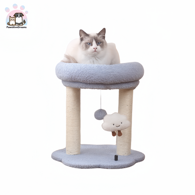 Xinruilin Cloud Scratching Post For Cat - Pawsitive Dreams