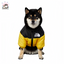 Luka Warm Cotton Jacket Windproof and Waterproof for Medium to Large Dogs - Pawsitive Dreams