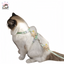 Hoopet Little Rabbit Adjustable Harnesses Escape Proof With Leash For Cat & Small Dog - Pawsitive Dreams