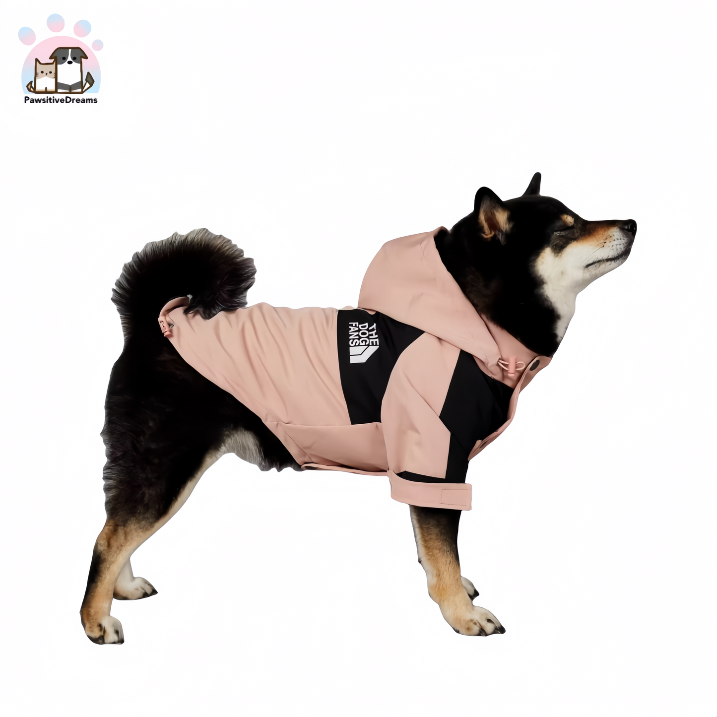 Luka Windproof and Waterproof Rain Jacket for Medium to Large Dogs - Pawsitive Dreams