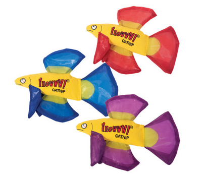 Catnip Mo Betta Fish