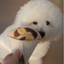 CREPE // ENRICHMENT DOG TOY