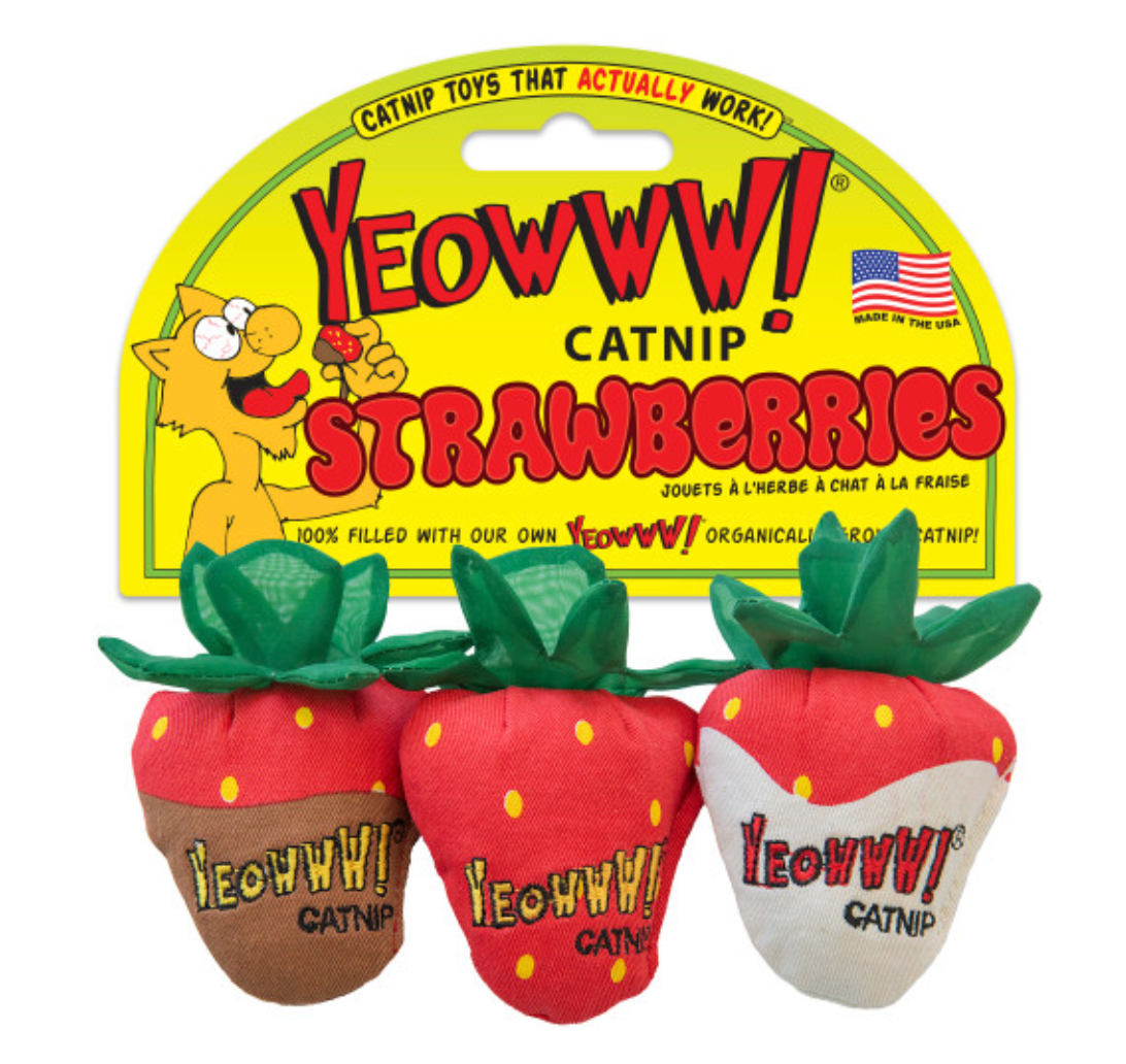 Catnip Strawberries 3-pk