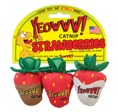 Catnip Strawberries 3-pk