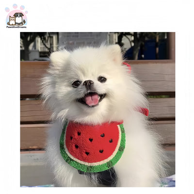 Luka Cute Watermelon Bandana for Dogs and Cats - Pawsitive Dreams