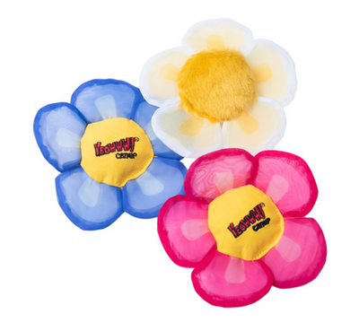 Catnip Daisy's Flower Tops