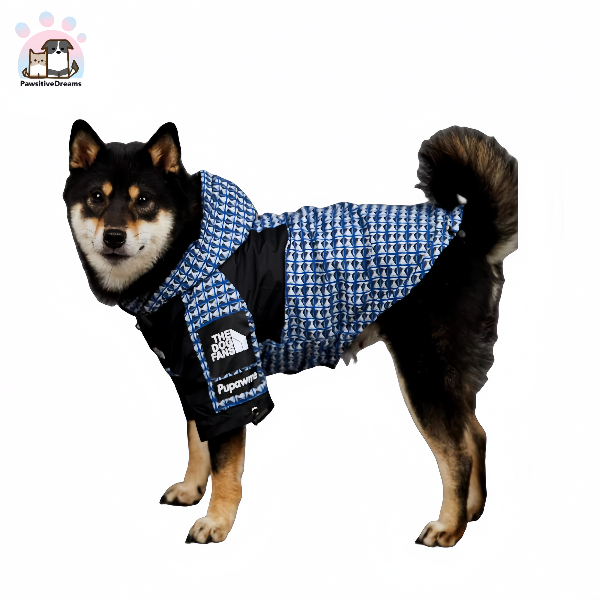 Luka Rivet Pattern Windproof and Waterproof Jacket for Medium to Large Dogs - Pawsitive Dreams