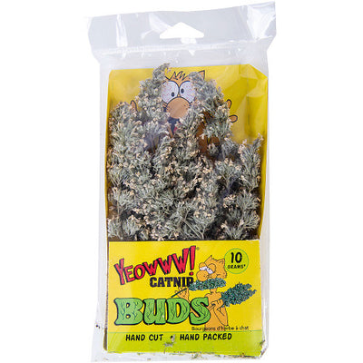 Catnip Buds