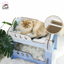 Tinypet Double-Layer Large Cat Scratching Post Bunk Beds for Cat - Pawsitive Dreams