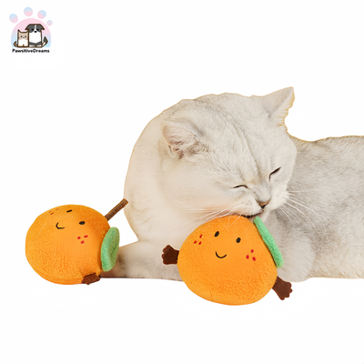 ZEZE Orange Shape Silvervine (Matatabi) Toy for Cats, Dental Chew Stick with Crinkle - Pawsitive Dreams