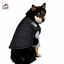 Luka Thick Warm Vest Windproof and Waterproof for Medium to Large Dogs - Pawsitive Dreams