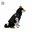 Luka Thick Warm Vest Windproof and Waterproof for Medium to Large Dogs - Pawsitive Dreams