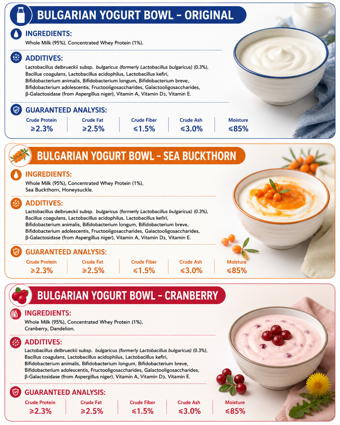 Bulgarian Fresh Milk Yogurt Bowl – Probiotic Treat for Cats & Dogs