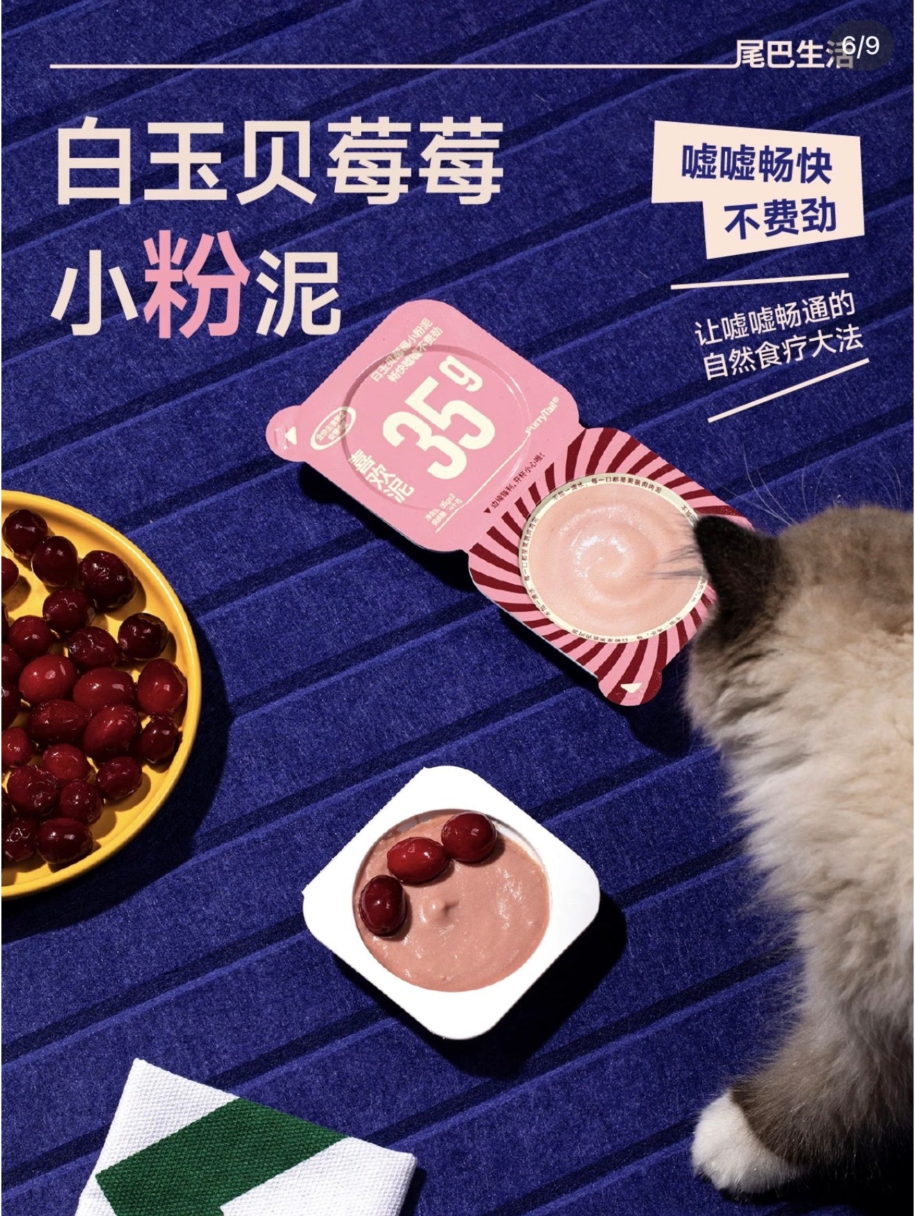 Furry Tail Rainbow Pate Cat Wet Food 3 Different Formula for Cat