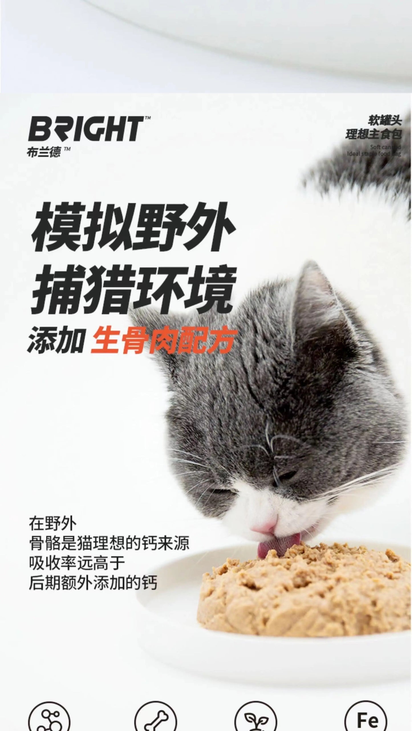 Bright Complete Cat Food Pouch |  For Kittens & Adult Cats