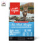 Orijen Grain Free Dry Cat Food - Pawsitive Dreams
