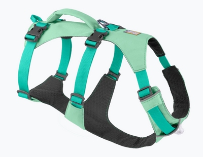 Flagline™ Dog Harness with Handle
