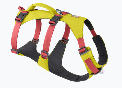 Flagline™ Dog Harness with Handle