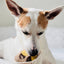 CREPE // ENRICHMENT DOG TOY