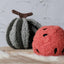 WATERMELON POP// ENRICHMENT TOY SET// SNUFFLE TOY