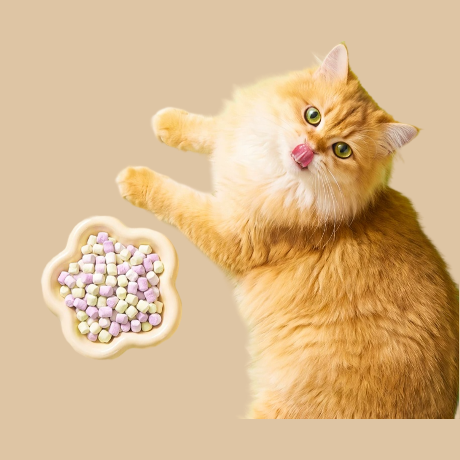 Crunchy Freeze-Dried Duck/Rabbit Cat Food with Goat Milk